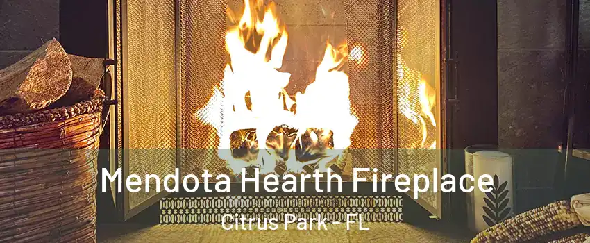  Mendota Hearth Fireplace Citrus Park - FL