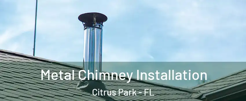  Metal Chimney Installation Citrus Park - FL