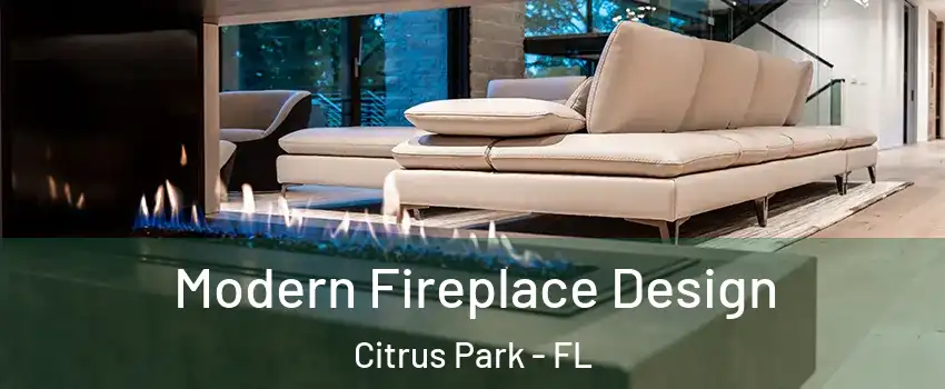  Modern Fireplace Design Citrus Park - FL