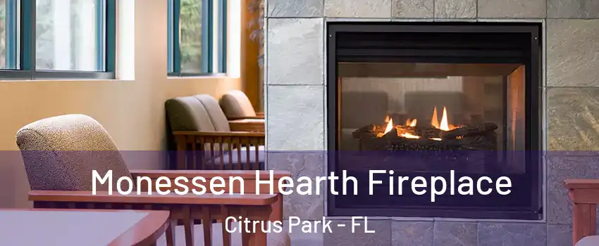  Monessen Hearth Fireplace Citrus Park - FL