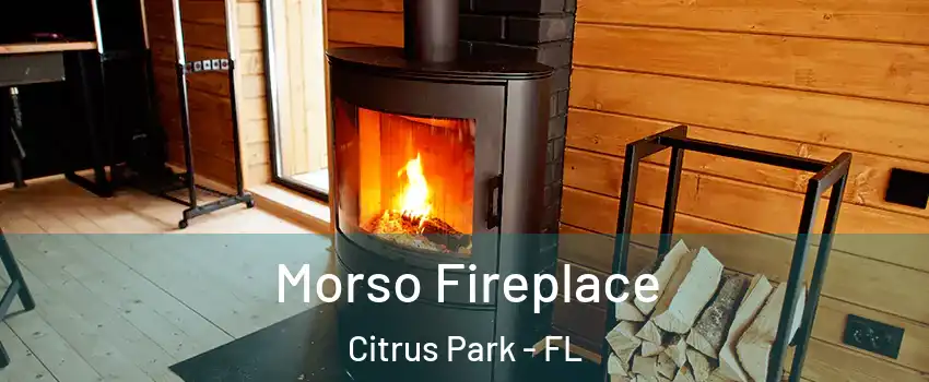  Morso Fireplace Citrus Park - FL