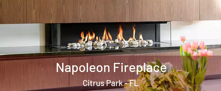  Napoleon Fireplace Citrus Park - FL