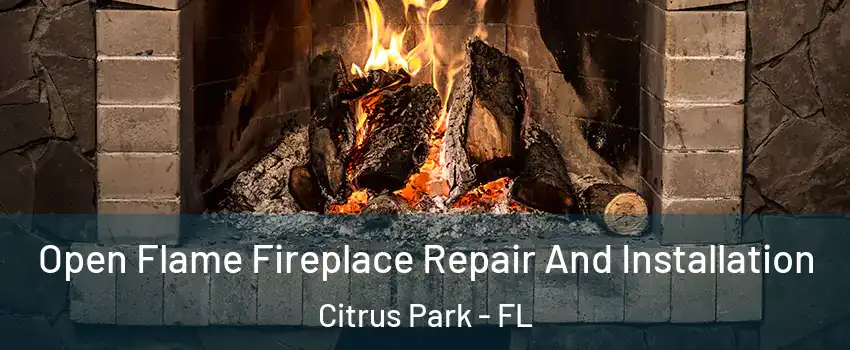  Open Flame Fireplace Repair And Installation Citrus Park - FL