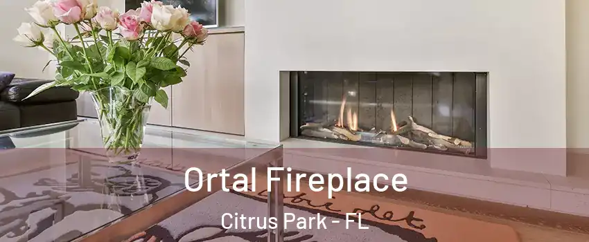  Ortal Fireplace Citrus Park - FL