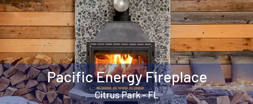  Pacific Energy Fireplace Citrus Park - FL