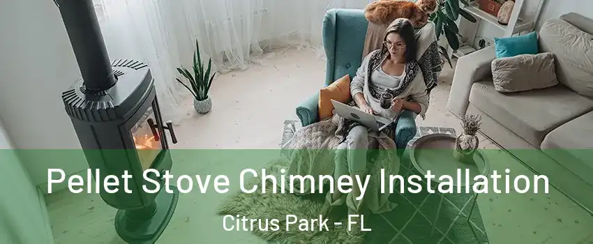  Pellet Stove Chimney Installation Citrus Park - FL
