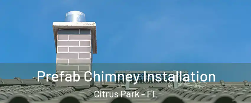  Prefab Chimney Installation Citrus Park - FL