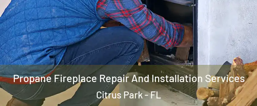  Propane Fireplace Repair And Installation Services Citrus Park - FL