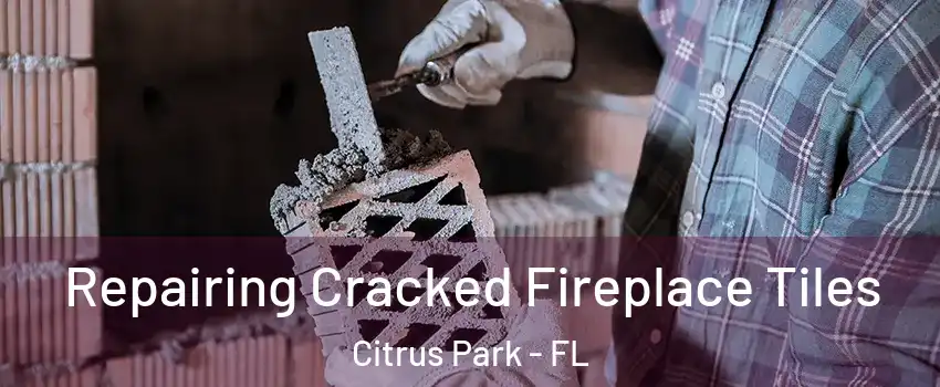  Repairing Cracked Fireplace Tiles Citrus Park - FL