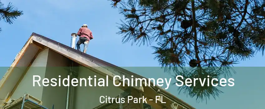 Residential Chimney Services Citrus Park - FL