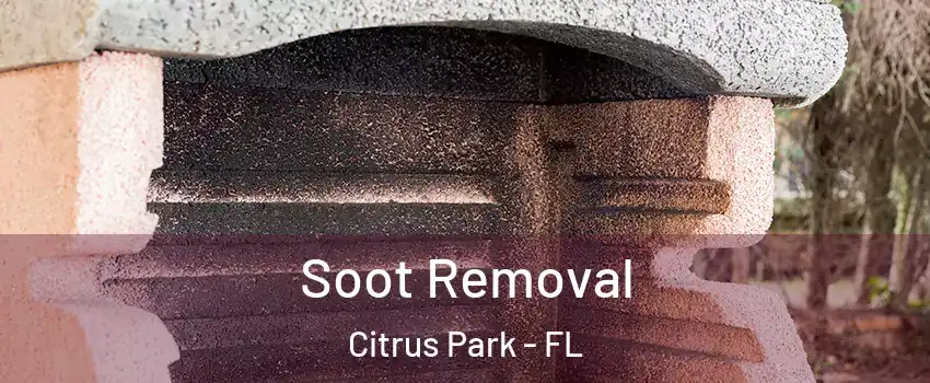 Soot Removal Citrus Park - FL