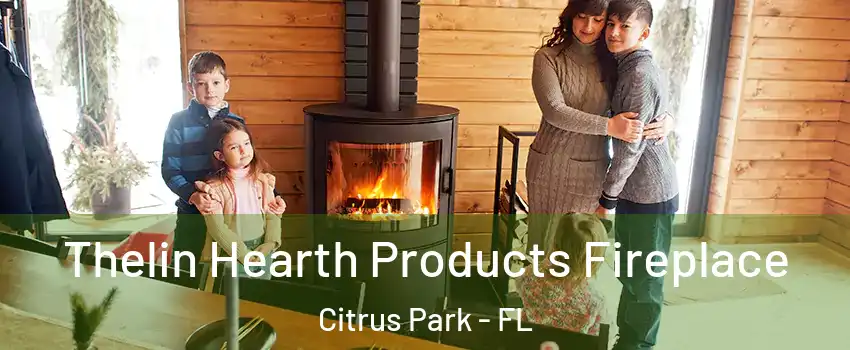  Thelin Hearth Products Fireplace Citrus Park - FL