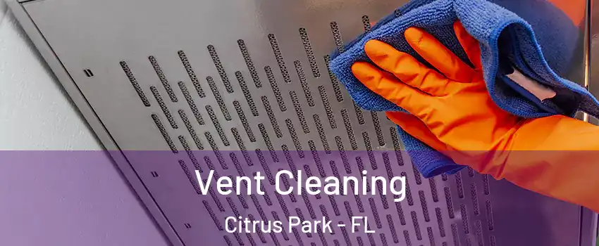  Vent Cleaning Citrus Park - FL