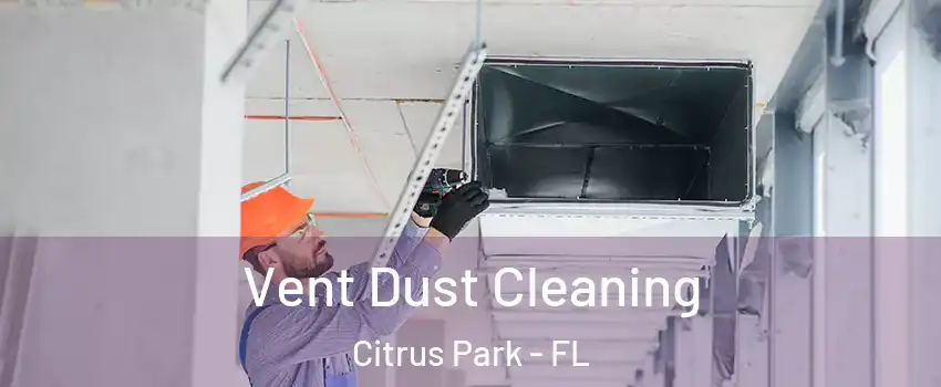 Vent Dust Cleaning Citrus Park - FL