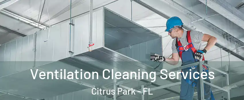  Ventilation Cleaning Services Citrus Park - FL