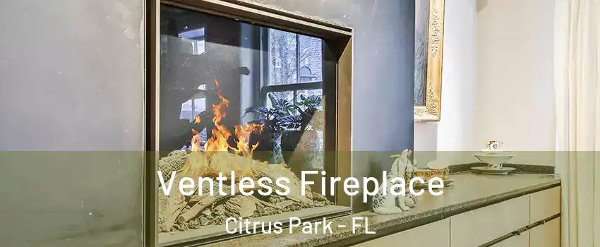  Ventless Fireplace Citrus Park - FL