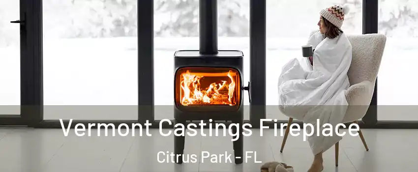  Vermont Castings Fireplace Citrus Park - FL