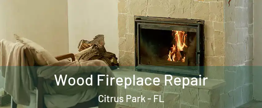  Wood Fireplace Repair Citrus Park - FL