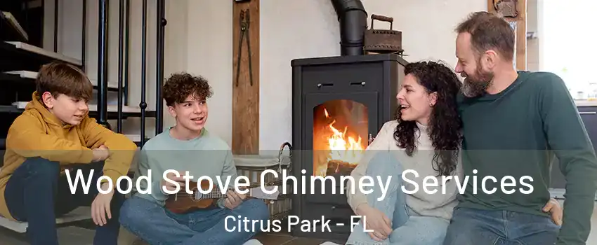  Wood Stove Chimney Services Citrus Park - FL
