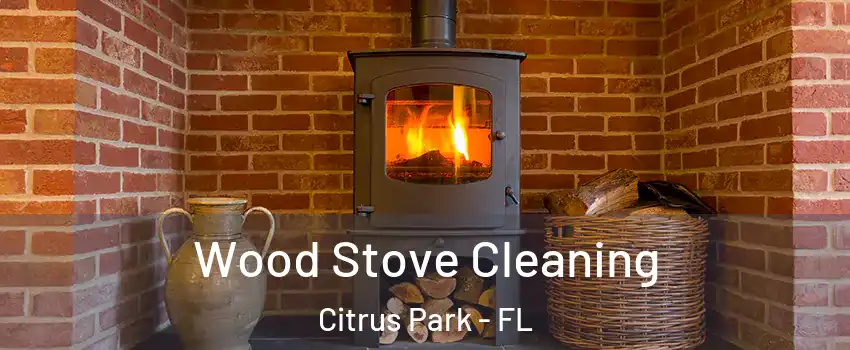  Wood Stove Cleaning Citrus Park - FL