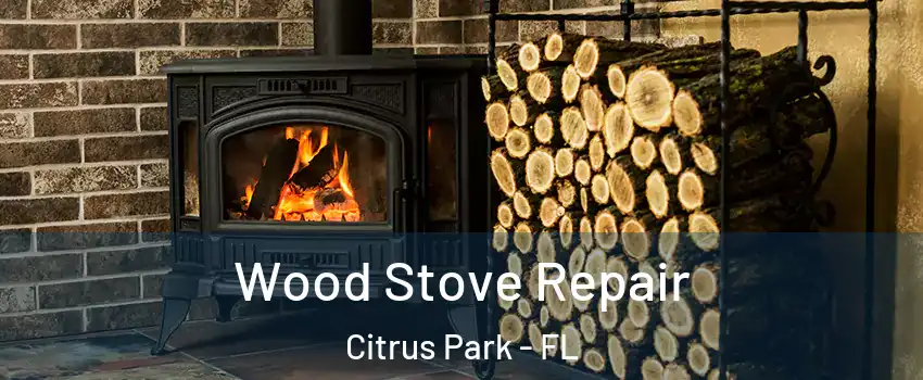  Wood Stove Repair Citrus Park - FL